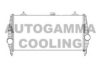 AUTOGAMMA 105238 Intercooler, charger
